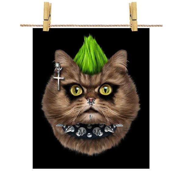 foxrepublic_postcard-cat53