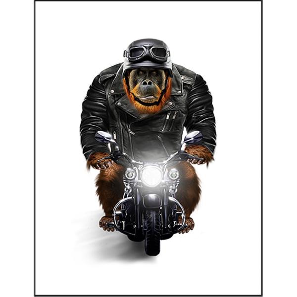 foxrepublic_postcard-chimp26