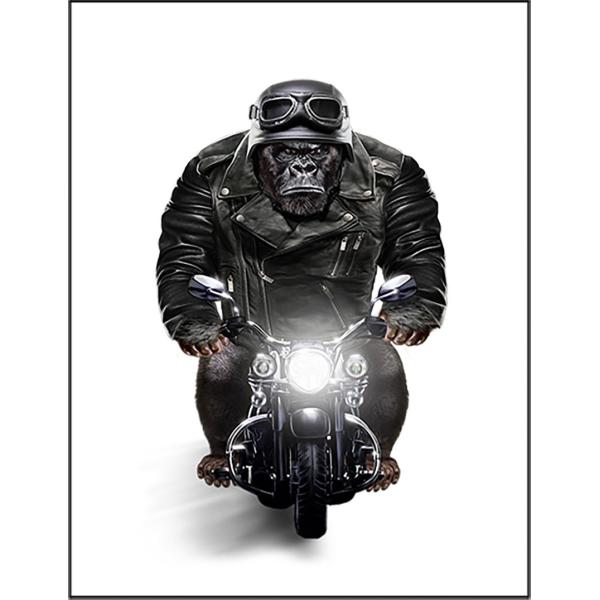 紙質：マットサイズ：100mm x 148mm