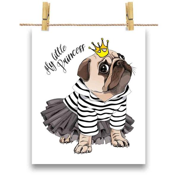 紙質：マットサイズ：100mm x 148mm