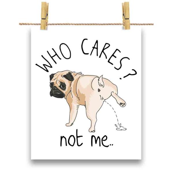 紙質：マットサイズ：100mm x 148mm