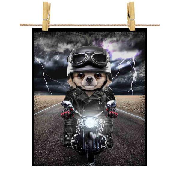 foxrepublic_postcard-dog-chi-30
