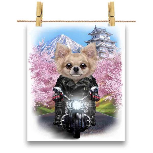 チワワ ドッグ 犬 いぬ バイク 桜 日本】ポストカード by Fox チワワ ドッグ 犬 いぬ バイク 桜 日本】ポストカード by Fox