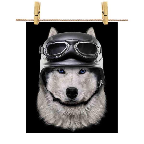シベリアンハスキー ドッグ 犬 いぬ ヘルメット】ポストカード by Fox
