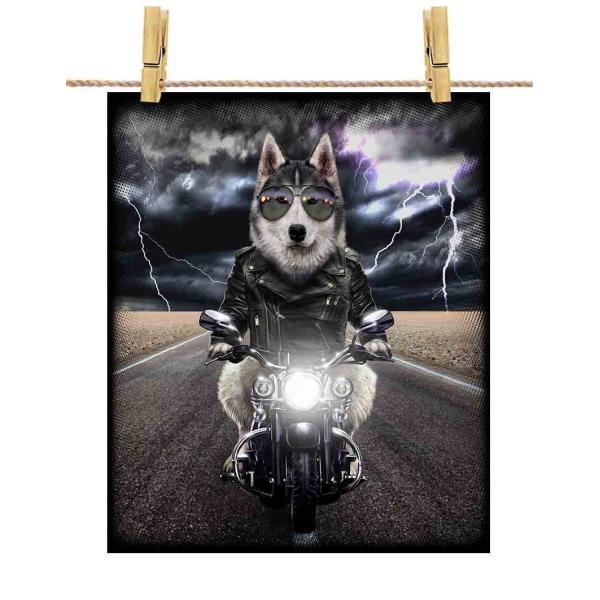 いぬ foxrepublic_postcard-dog-hky-29