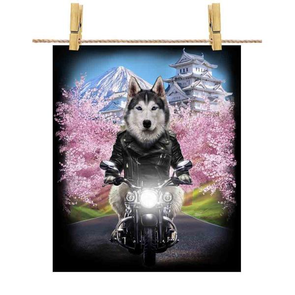 シベリアンハスキー ドッグ 犬 いぬ バイク 桜 日本】ポストカード by