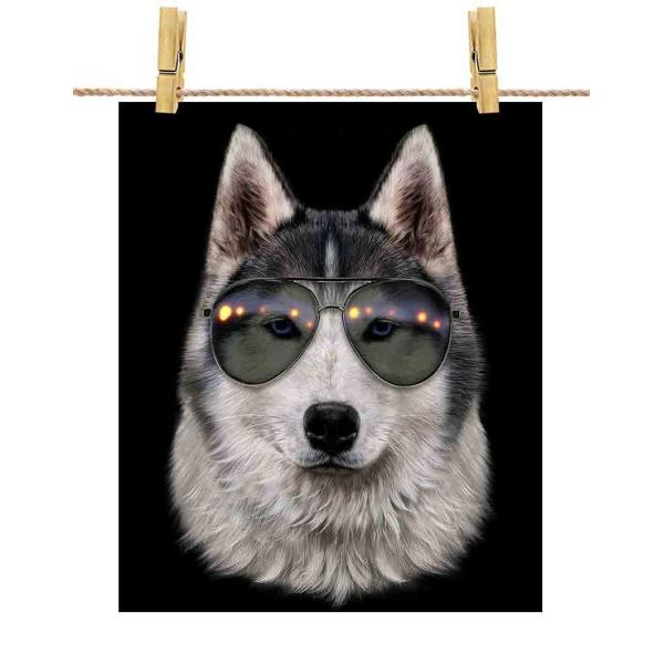 シベリアンハスキー ドッグ 犬 いぬ サングラス】ポストカード