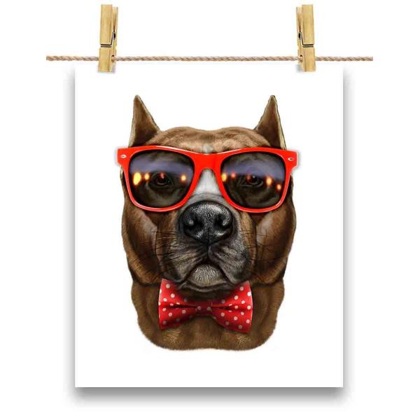 ピットブル サングラス 本 Cd Dvdの人気商品 通販 価格比較 価格 Com