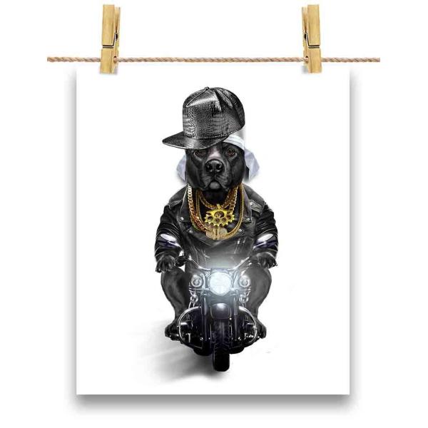 TigerDog ピッドブル TigerDog ピッドブル Tiger Stripe Pitbulls – The Ultimate