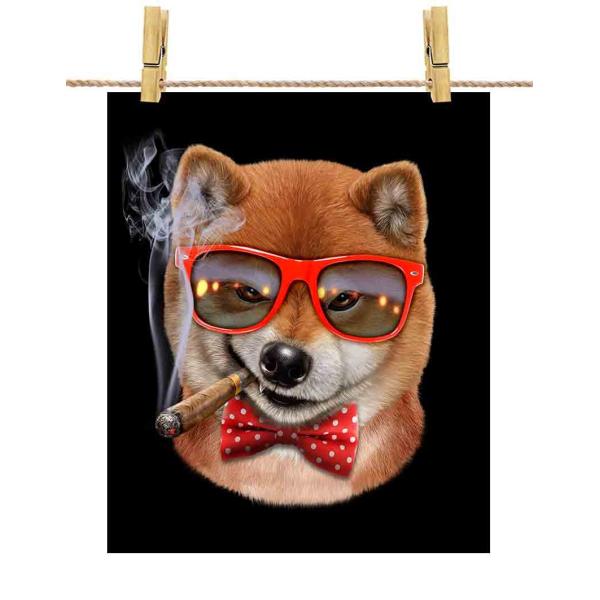 蝶と犬 蝶と犬 蝶と犬 Yahoo!オークション - Z/X ゼクス 蝶ヶ崎ほの