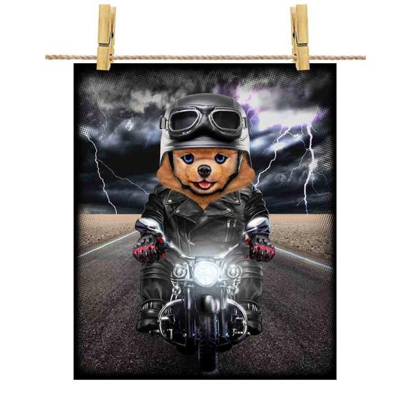 foxrepublic_postcard-dog281