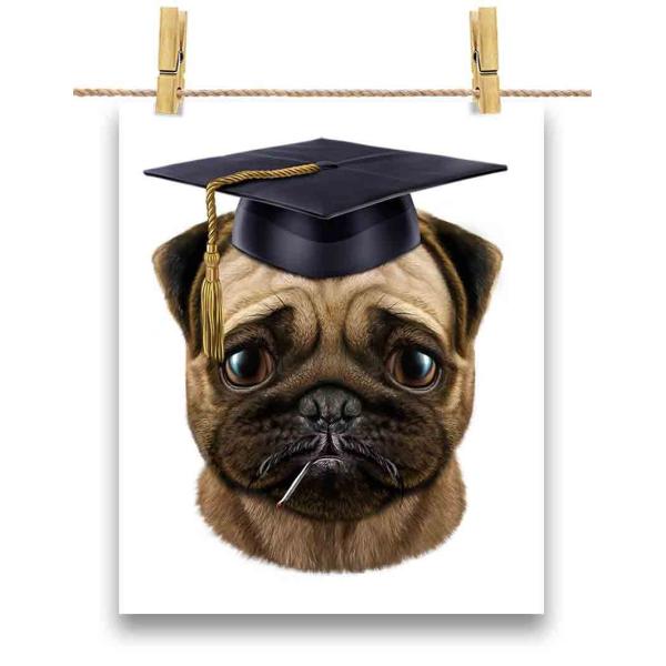 本 かわいい 写真集 雑誌の人気商品 通販 価格比較 価格 Com