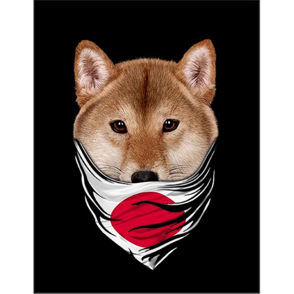 Natural Monuments 柴犬 SP0003 INVASION 希少 Natural Monuments 柴犬 SP0003 INVASION 希少