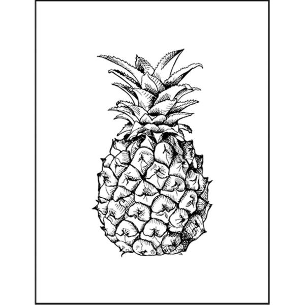 紙質：マットサイズ：100mm x 148mm