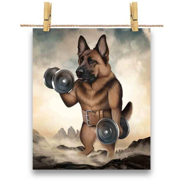 ダンベル 本 写真集の人気商品 通販 価格比較 価格 Com