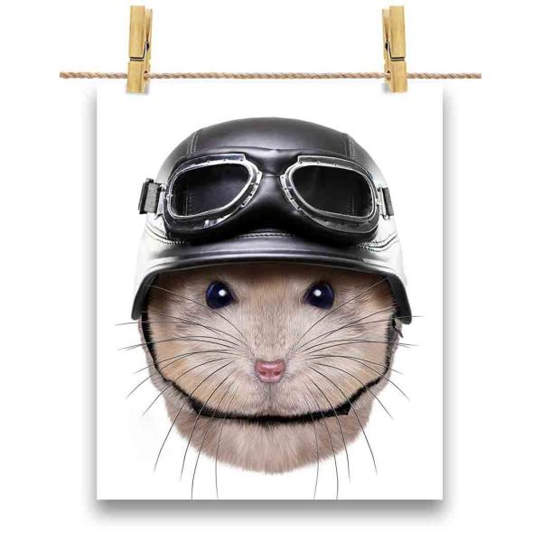 foxrepublic_postcard-hamster1-11