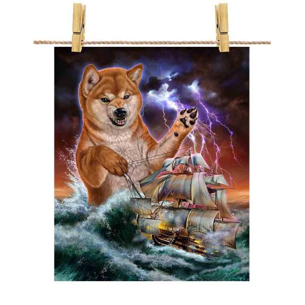 柴犬ふう太 on X: 