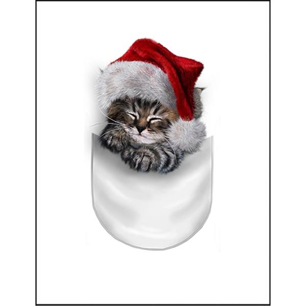 ポケットで眠るサンタ子猫・しまネコ 】ポストカード : FOX REPUBLIC