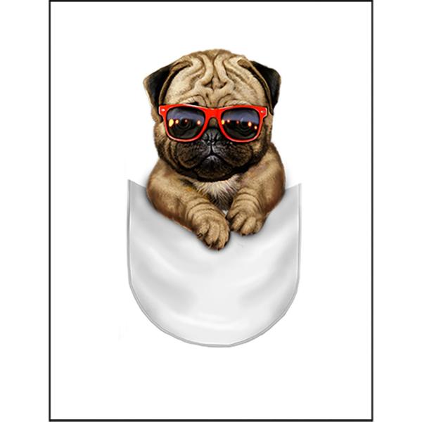 紙質：マットサイズ：100mm x 148mm