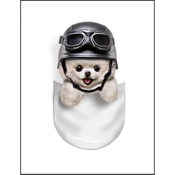 紙質：マットサイズ：100mm x 148mm