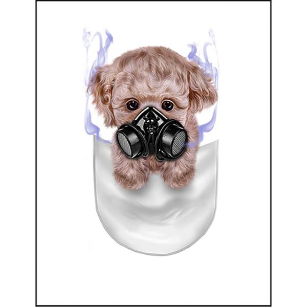 本 赤ちゃん 写真集 雑誌の人気商品 通販 価格比較 価格 Com