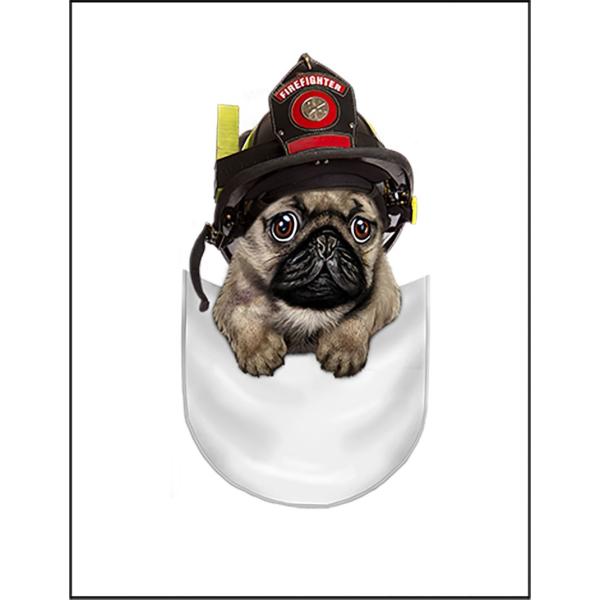 紙質：マットサイズ：100mm x 148mm