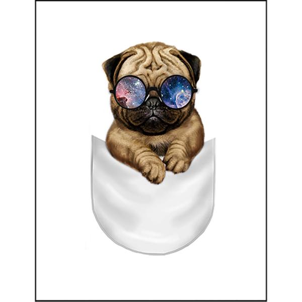 本 赤ちゃん 写真集 雑誌の人気商品 通販 価格比較 価格 Com