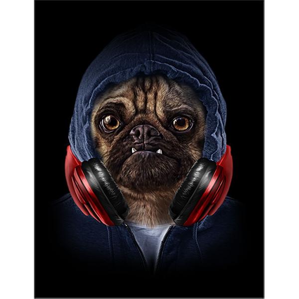 紙質：マットサイズ：100mm x 148mm