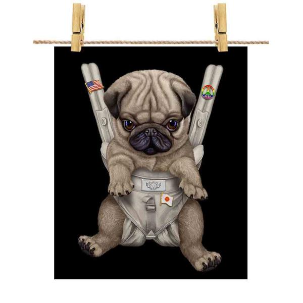 foxrepublic_postcard-sling35