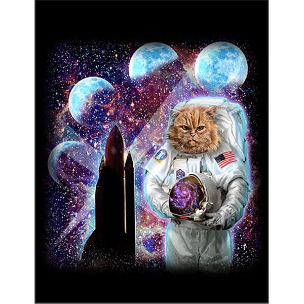 foxrepublic_postcard-space3