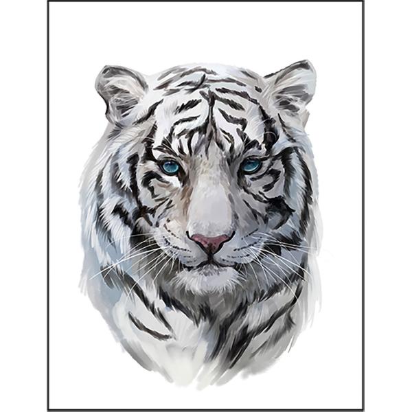 紙質：マットサイズ：100mm x 148mm