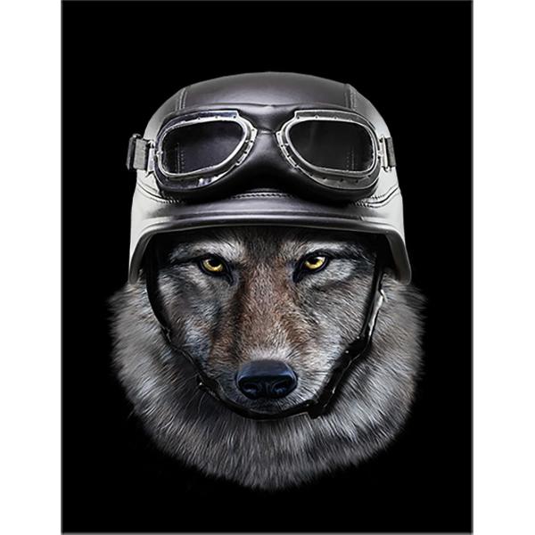 foxrepublic_postcard-wolf23 foxrepublic_postcard-wolf23