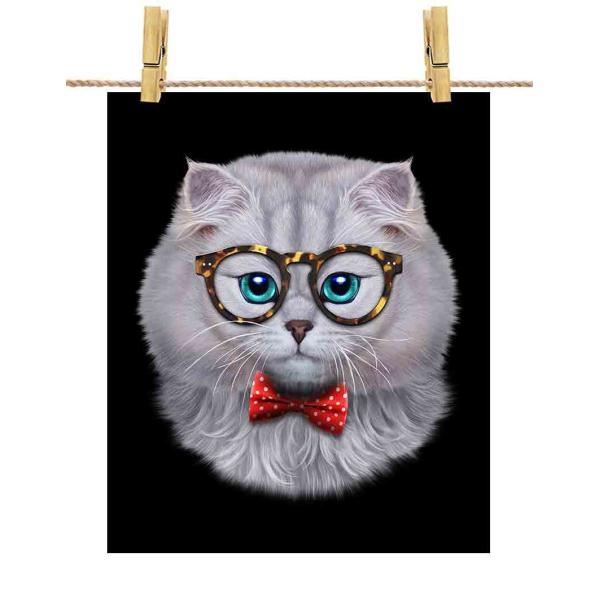 yyVL ˂ lN^Cz|X^[@A1TCY by Fox Republic