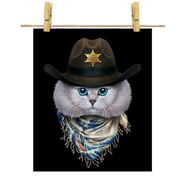 yyVL ˂ JE{[C { G o_iz|X^[@A1TCY by Fox Republic