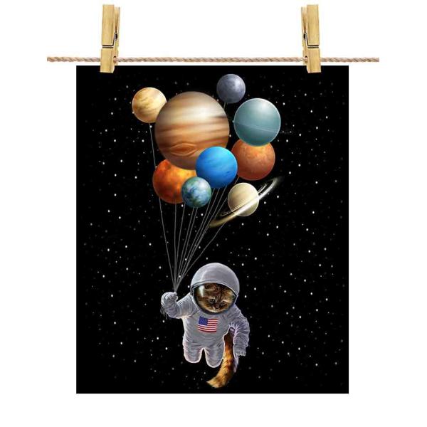 y˂ L Fsm D f Fz|X^[@A1TCY by Fox Republic