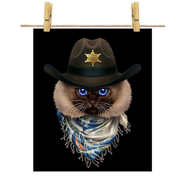 yVlR ˂ JE{[C { G o_iz|X^[@A1TCY by Fox Republic