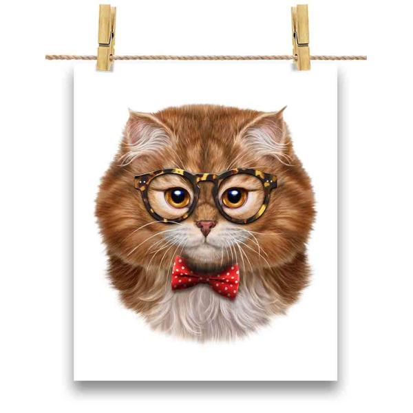 yOєL IW ˂ lN^Cz|X^[@A1TCY by Fox Republic