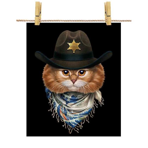 yOєL IW ˂ JE{[C { G o_iz|X^[@A1TCY by Fox Republic