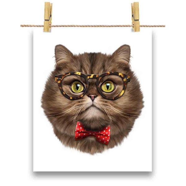 yyVL ˂ lN^Cz|X^[@A1TCY by Fox Republic