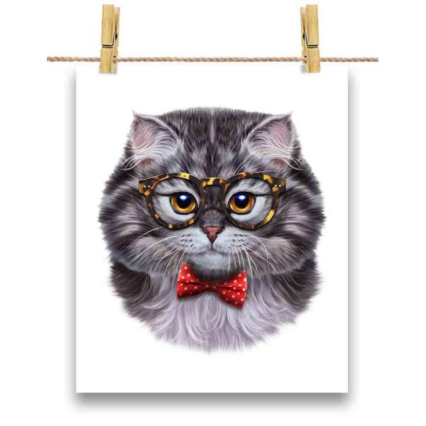 yO[ L ˂ lN^Cz|X^[@A1TCY by Fox Republic