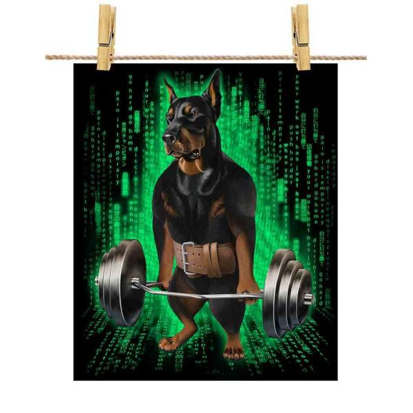 |X^[ A1 h[x}  ؃g ؓ EGCgteBO W TCo[ by Fox Republic