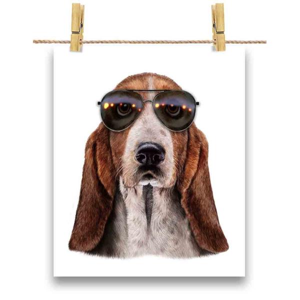 foxrepublic_poster-a1-dog-bst-6