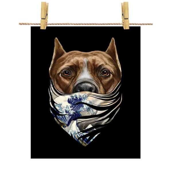 yт̃AJsbgu hbO   G o_iz|X^[@A1TCY by Fox Republic