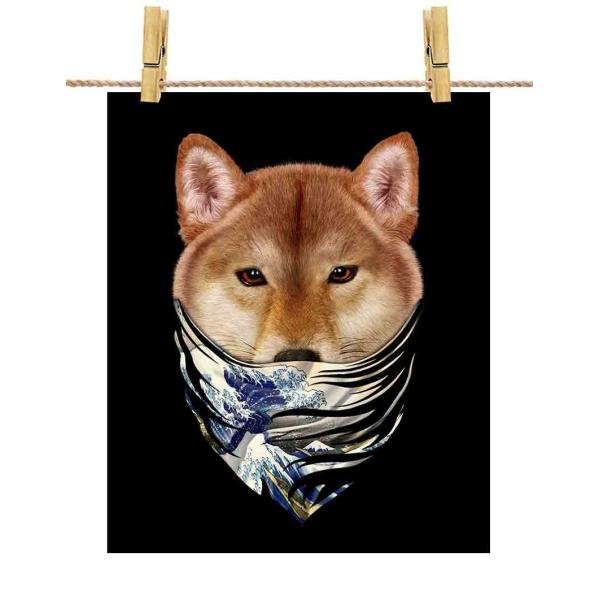 yČ hbO   G o_iz|X^[@A1TCY by Fox Republic