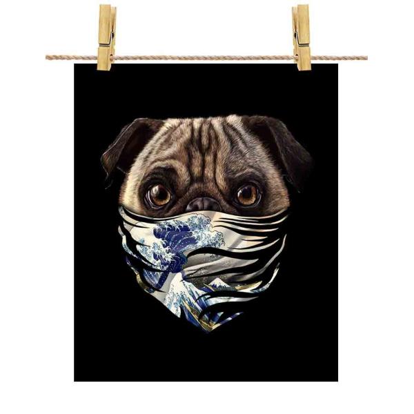 ys@ȃpO hbO   G o_iz|X^[@A1TCY by Fox Republic