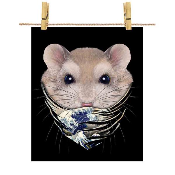 |X^[ A1 vfBOEnX^[ G o_i by Fox Republic