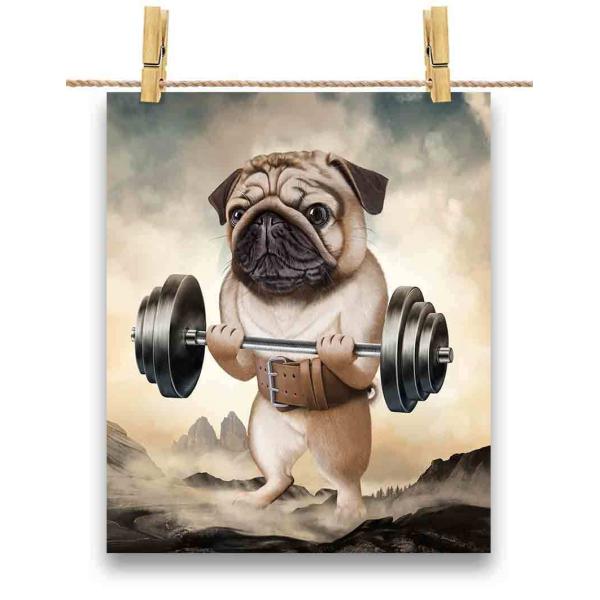 |X^[ A1 pO  ؃g ؓ EGCgteBO by Fox Republic