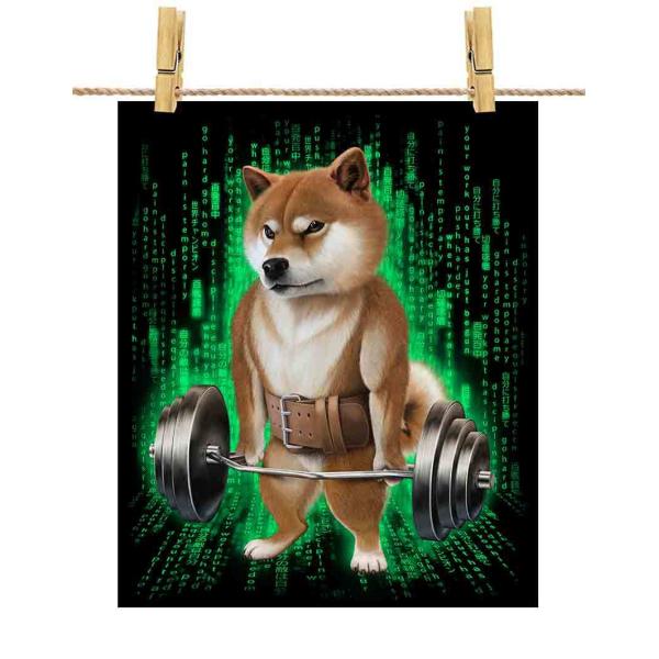 |X^[ A1 Č ΂ ؃g ؓ EGCgteBO W TCo[ by Fox Republic