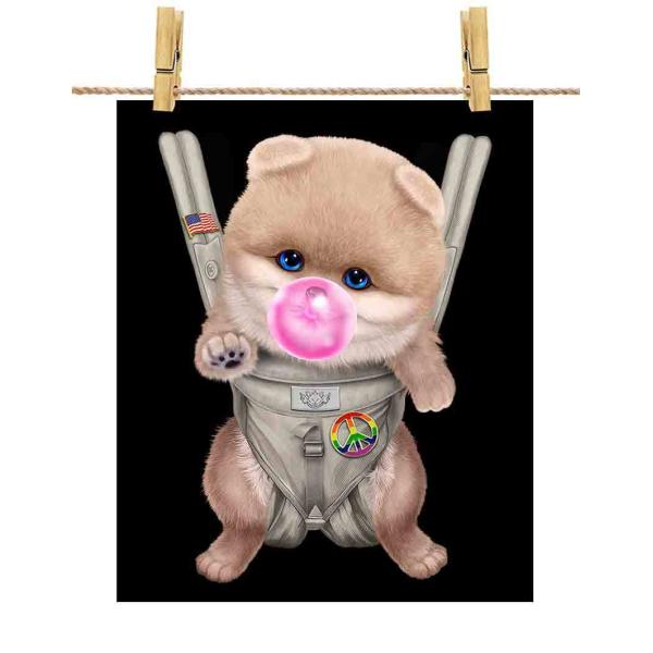 |X^[ A1 N[ |jA     R K by Fox Republic