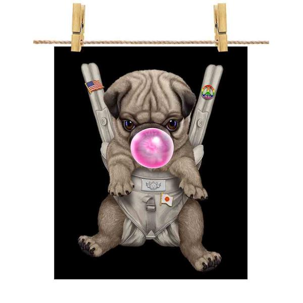 |X^[ A1 pO     R K by Fox Republic